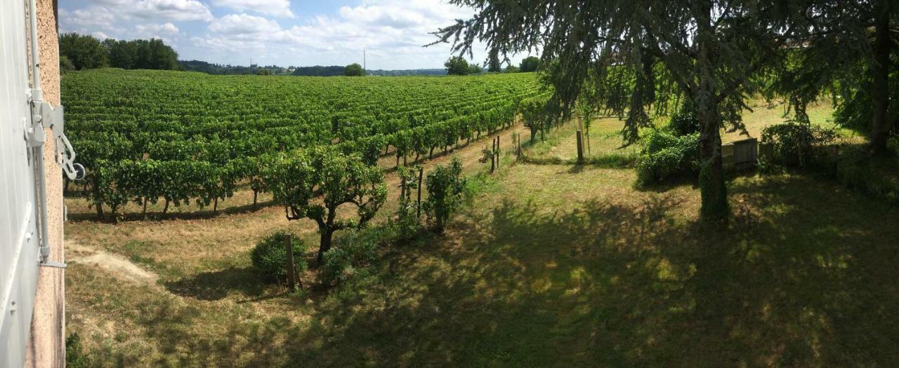 Mirande Montagne-Saint Emilion Lägenhet Montagne  Exteriör bild